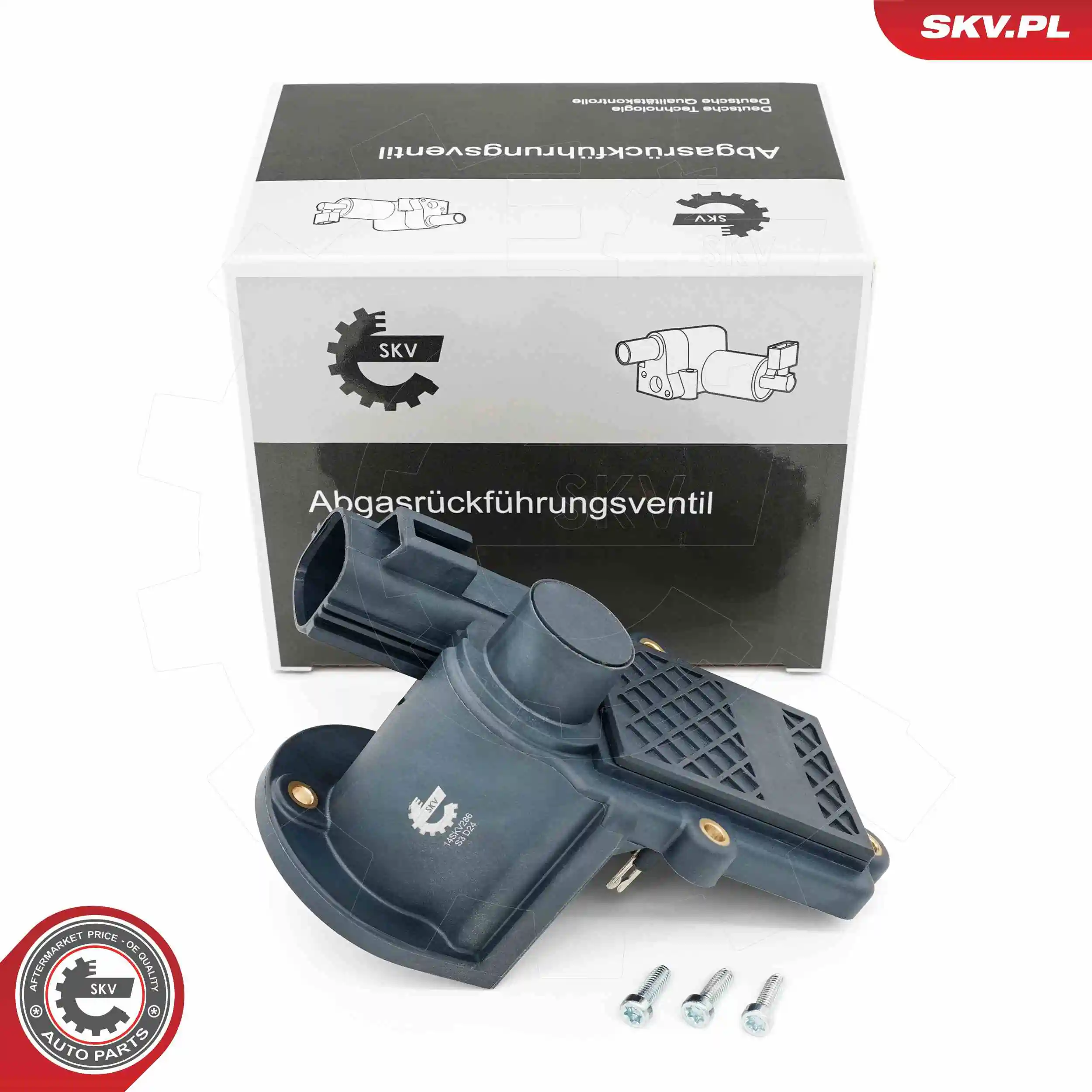 EGR Valve